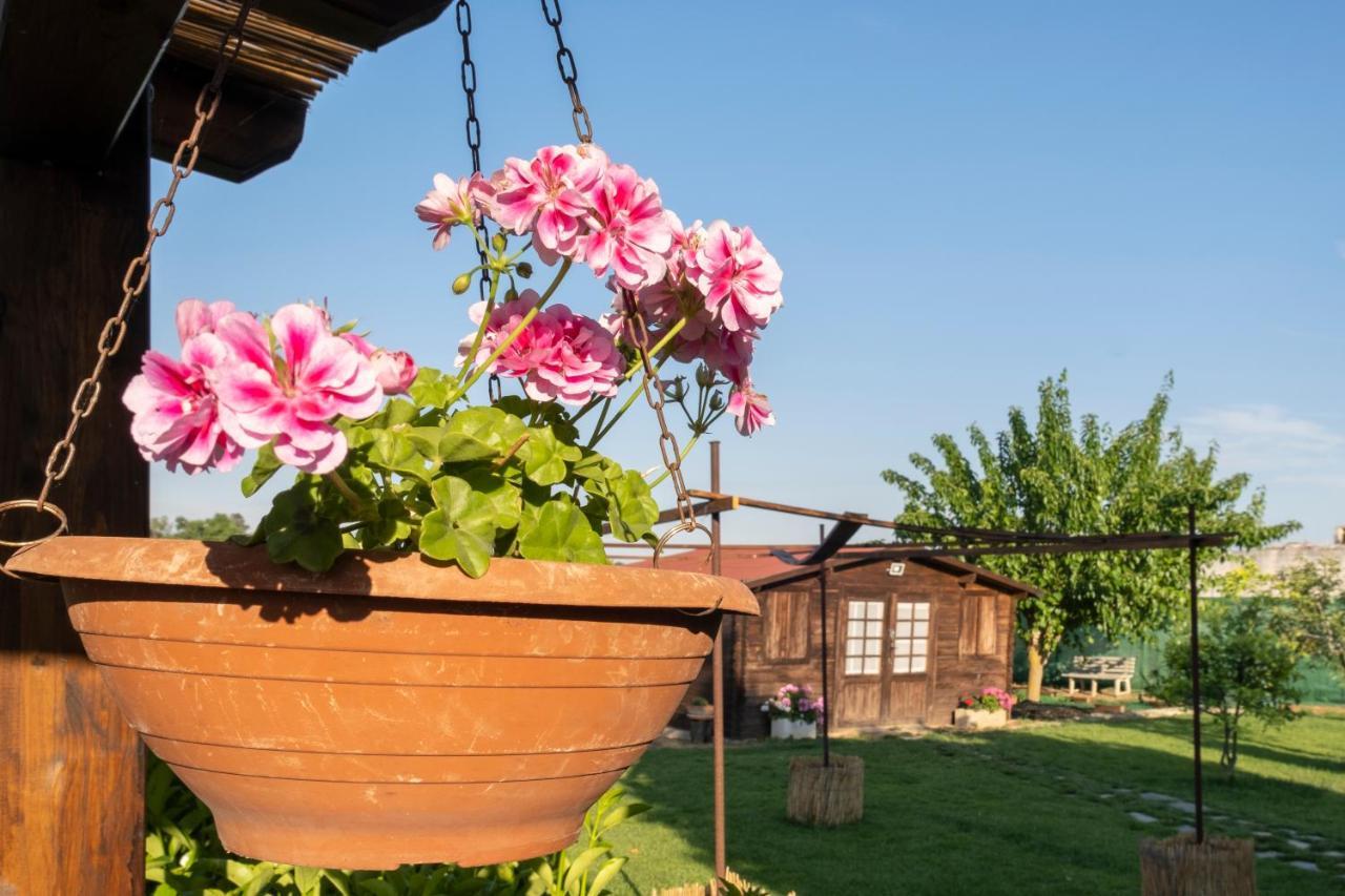 A Lu Fanizza Bed and Breakfast Cutrofiano Εξωτερικό φωτογραφία