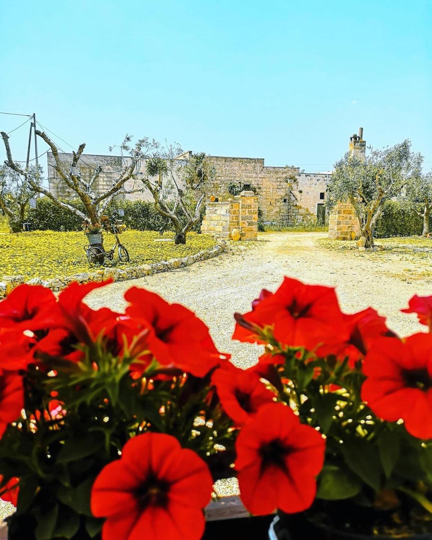 A Lu Fanizza Bed and Breakfast Cutrofiano Εξωτερικό φωτογραφία